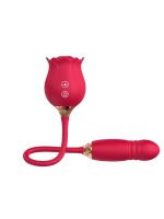 Censan ileri geri hareketli Vibratör ve Gül vakum - Görsel 2