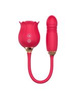 Censan ileri geri hareketli Vibratör ve Gül vakum - Görsel 3