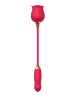 Censan ileri geri hareketli Vibratör ve Gül vakum - Görsel 4