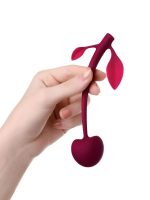 Censan Jos Kiraz Vajinal Top silikon bordo 14,5 cm - Görsel 2