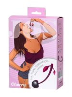 Censan Jos Kiraz Vajinal Top silikon bordo 14,5 cm - Görsel 3