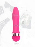 CENSAN Mini Vibratör Tek Modlu Pembe - Görsel 2