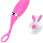 Censan Uzaktan Kumandalı Şarjlı Titreşimli Vibratör