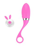 Censan Uzaktan Kumandalı Şarjlı Titreşimli Vibratör - Görsel 2