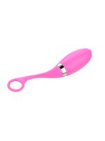 Censan Uzaktan Kumandalı Şarjlı Titreşimli Vibratör - Görsel 5