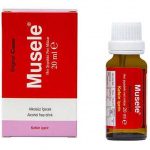 Musele Damla