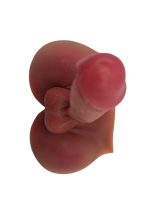 Censan Gerçekçi Yarım Vücut Dildo Mastürbatör 19 CM - Görsel 4